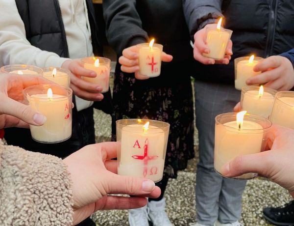 IMG_7533.jpg